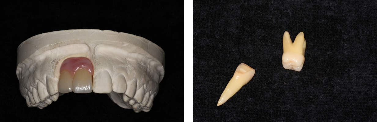 ��t���Ŏ��ȋZ�H�B�Z���~�b�N���H